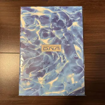 [미개봉] A! group D.N.A 팜플렛