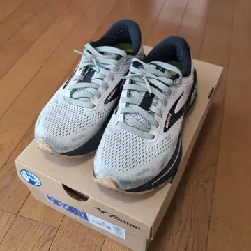 Brooks 러닝화 & Super feet 인솔