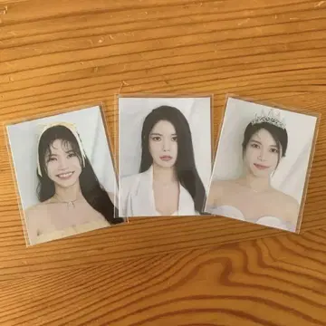 mamamoo 솔라 ID 사진