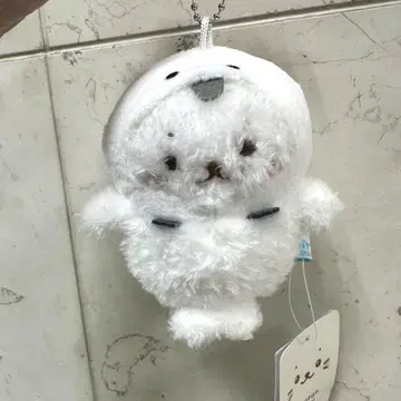 시로탄 삿포로 한정 시마에나가 마스코트 봉제 인형