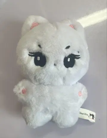 ENHYPEN 정원 인형 10cm 마스터 양코미