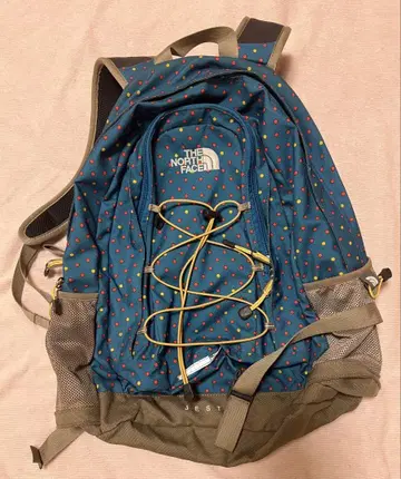 THE NORTH FACE 물방울 패턴 백팩