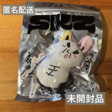 스키즈 리노 줼미 백참 멤프로