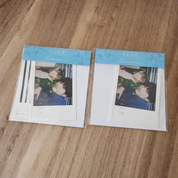 366일 폴라로이드 스티커 세트 아카소 에이지 카미시라이시 모카