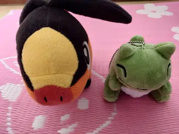 포켓몬 포카부
