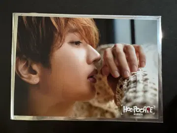 nissy 호카포카페 예약 혜택 포토 카드