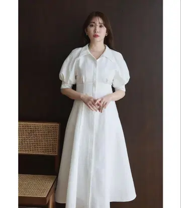 Vienna Volume Sleeve Shirt Dress
