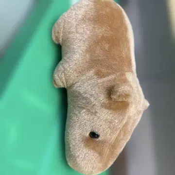 브라운 카피바라 봉제 인형