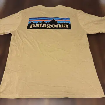 patagonia 베이지 T셔츠