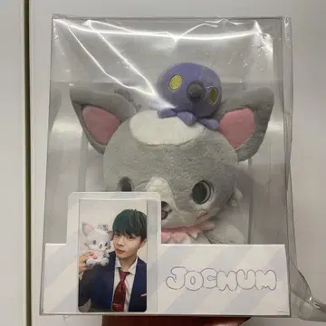 JO1 츠루보 jochum 츄라라 초기 트레이딩 카드 봉제 인형