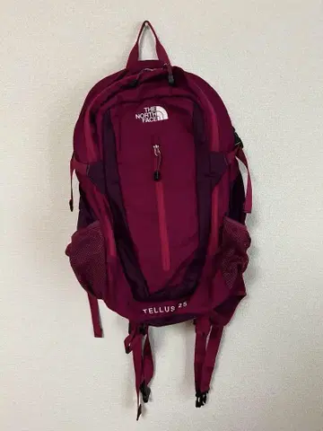 THE NORTH FACE 텔러스25 퍼플 백팩