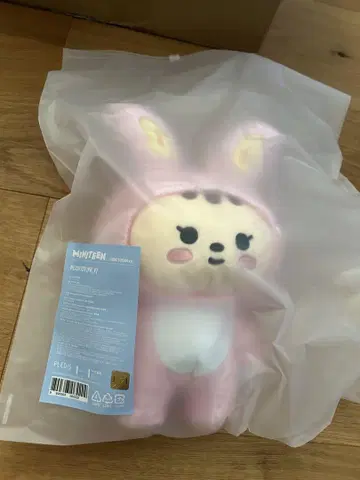 MINITEEN 정한 봉제 인형 조nt람 미니틴