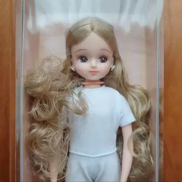 리카짱 캐슬 2022년 니혼바시 BASIC 모델 리카짱