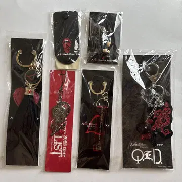 AcidBlackCherry 키링 세트