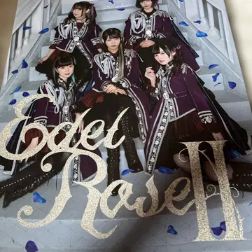 Edel Rase II 9 포켓 바인더 카드 포함