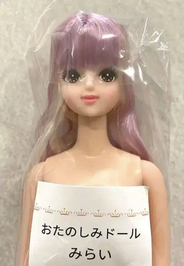 리카짱 캐슬 오타노시미 인형 미라이 미개봉품
