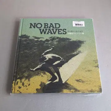 NO BAD WAVES 파타고니아