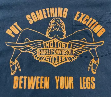 HARLEY-DAVIDSON PUT SOMETHING 80년대 티셔츠