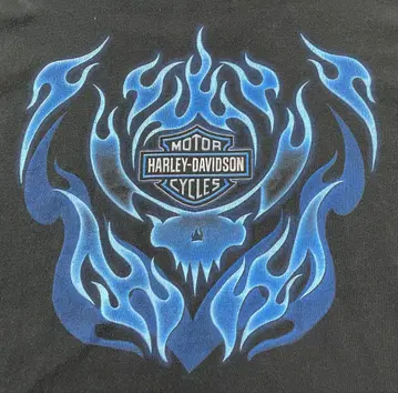 Harley-Davidson Tribal Flame 00s LS 티셔츠