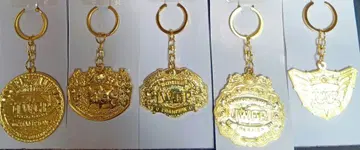 IWGP 챔피언 벨트풍 키링 5개 세트
