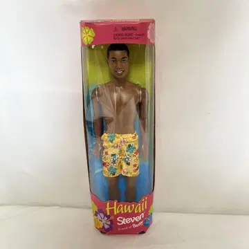 Barbie Friend of 하와이 steven 인형 레어 바비