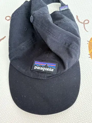 파타고니아 Patagonia 캡