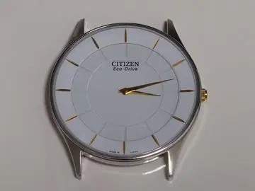 CITIZEN 손목시계 AR3014-56A