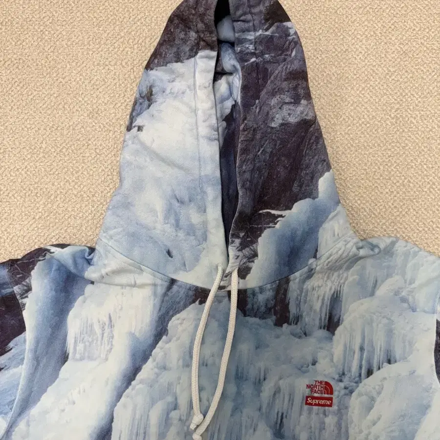 SUPREME | 슈프림 XL Supreme x The North Face Ice Climb