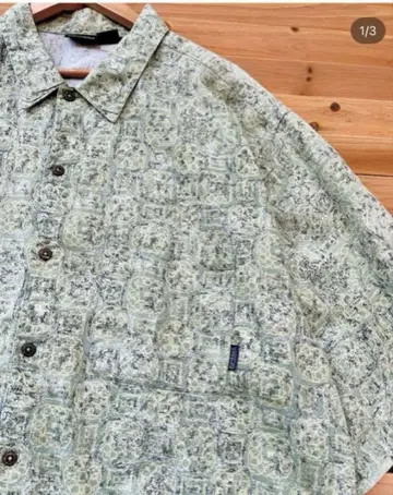 Patagonia A/C 셔츠 'switch/leaf'