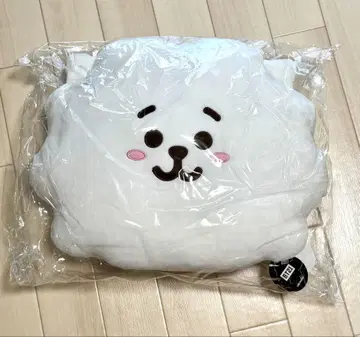 BT21 RJ 봉제 인형 쿠션