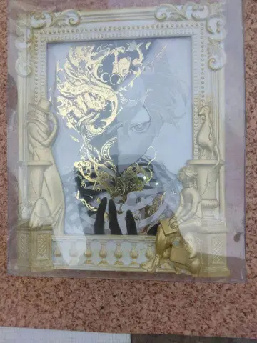 KAIZIN반 DVD 2매 수록 미사용