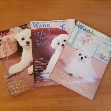 Wan 몰티즈 특집호 3권 세트