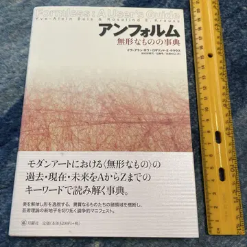 앙폴름 무형의 사전 이브=아란 부아 로잘린드 E 크라우스