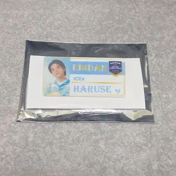 ICEx HARUSE 에비라이 네임 배지