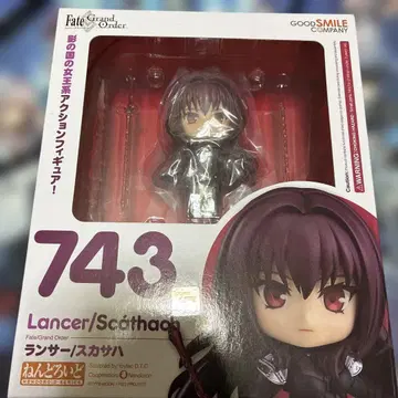 Fate/Grand Order 랜서/스카사하 넨도로이드