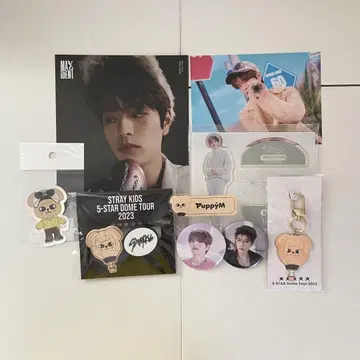 stray kids 승민