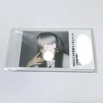 AVAM 츠키미 노아야 WEGO 콜라보 랜덤 폴라로이드