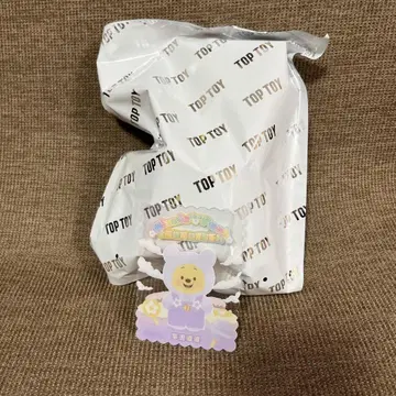 TOP TOY Disney 곰돌이 푸 시크릿