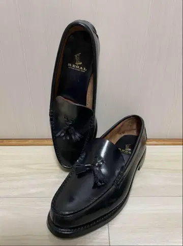 REGAL 리갈 태슬 로퍼 2253 24.0cm EE 가죽 신발