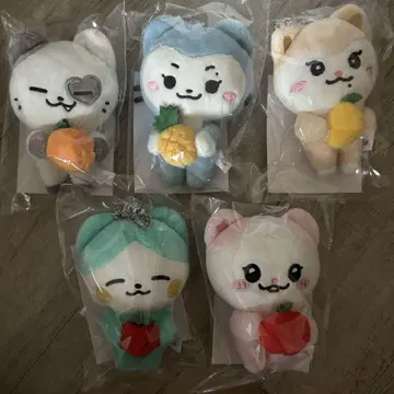 itzy 백참 5개 세트 popup