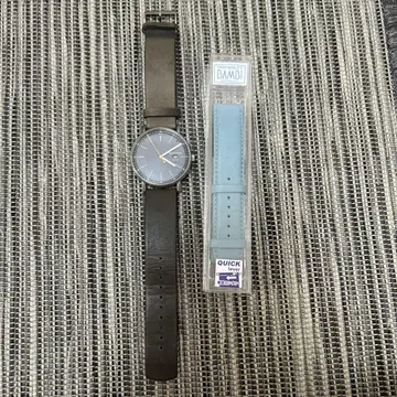 SKAGEN 그레이 가죽 시계 솔라 새 상품 교체용 벨트 포함