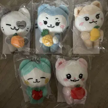 itzy 백참 5개 세트 popup