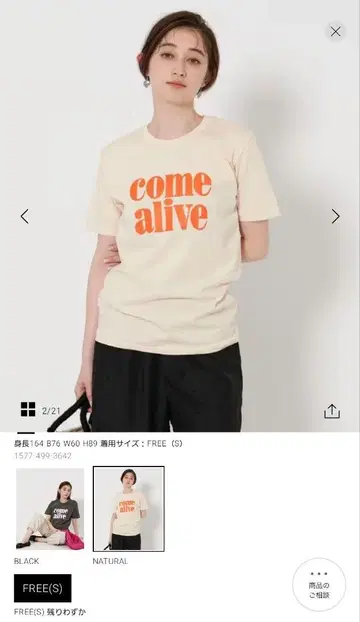 UNITED ARROWS 별주 MIXTA (믹스타)
