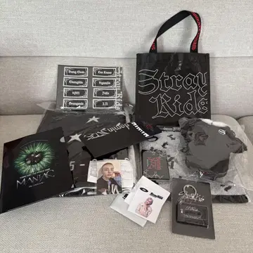 스키즈 업그레 굿즈 domiATE 외