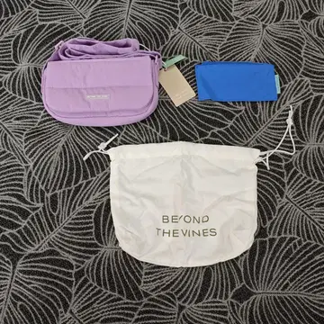 BEYOND THE VINES 2way 백 숄더백 미니