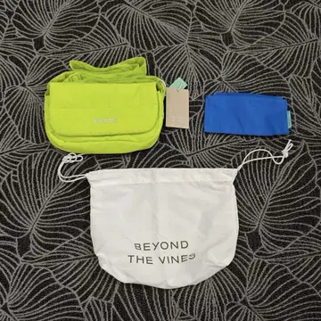 BEYOND THE VINES 2way 백 숄더백 미니