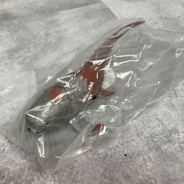 Dunkleosteus 피규어 공룡