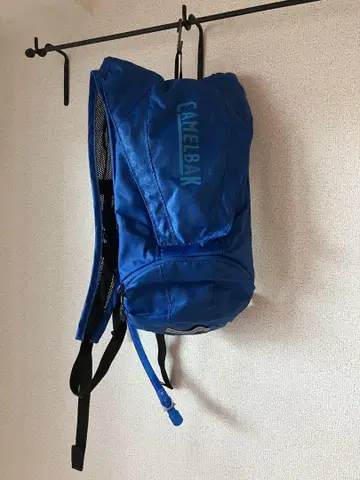 카멜백