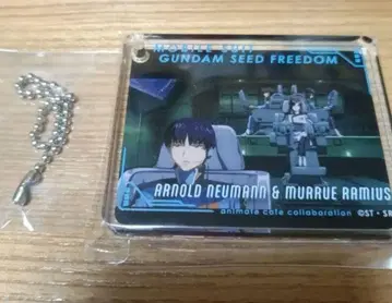 노이만 콜로타 애니메이트 카페 건담SEEDFREEDAM