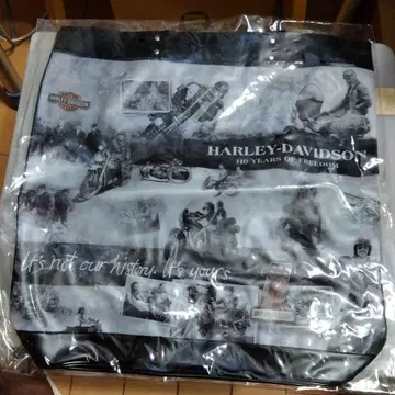 Harley-Davidson 110주년 기념 백